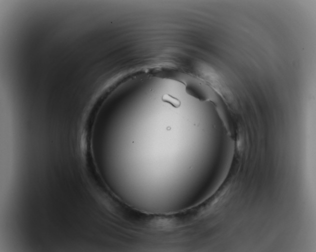X0000094930350200712061133