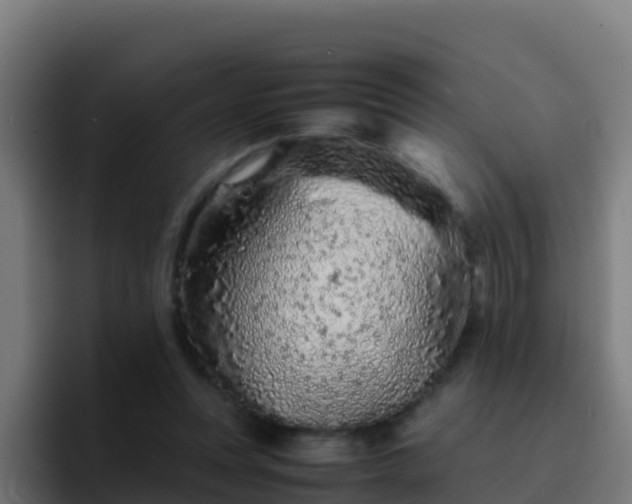 X0000094930351200712061133