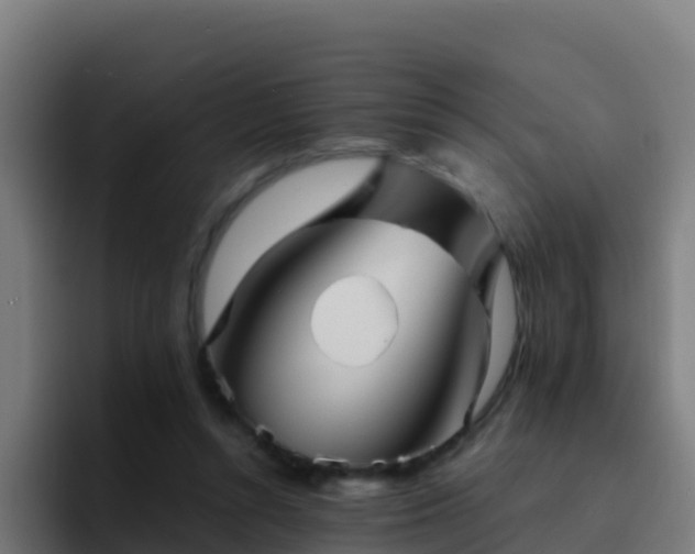 X0000094930352200712061133