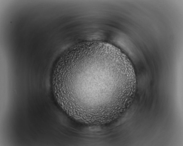 X0000094930353200712061133