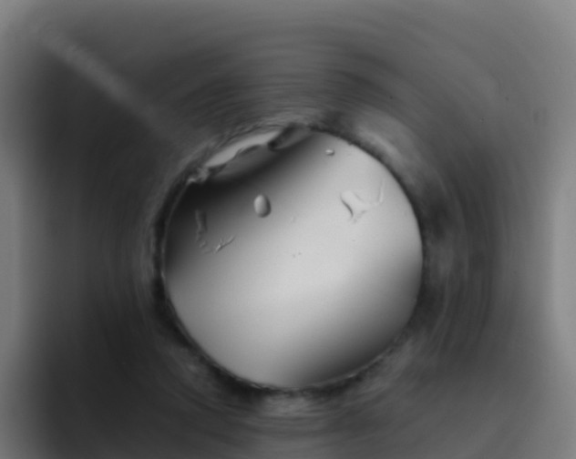X0000094930354200712061133
