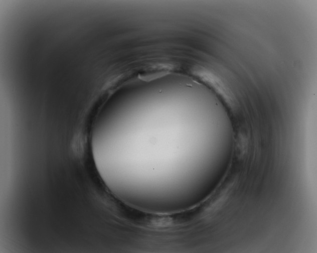 X0000094930355200712061133