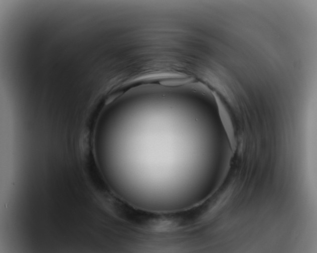 X0000094930356200712061133