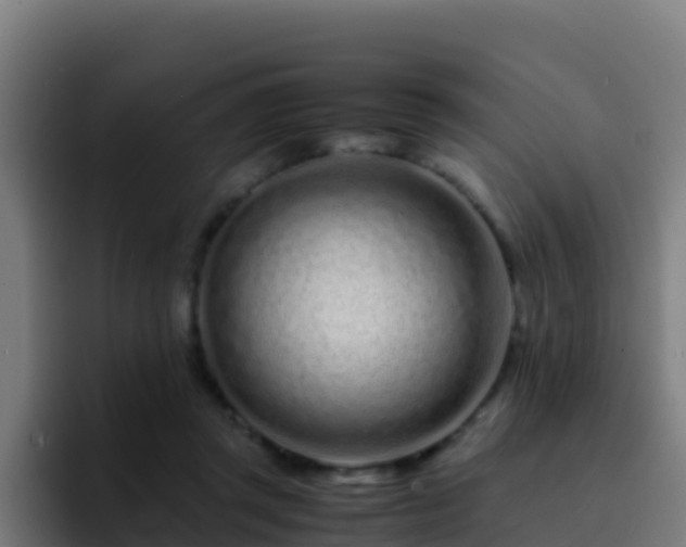 X0000094930357200712061133