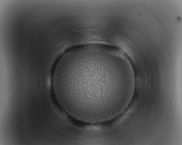 X0000094930358200712061133