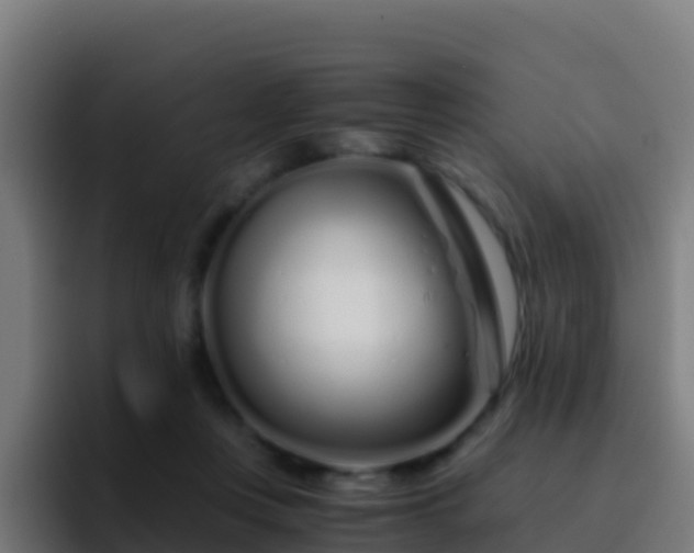 X0000094930359200712061133