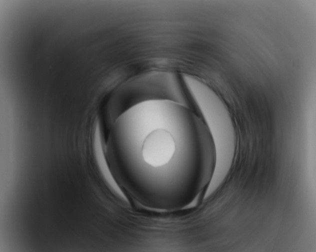 X0000094930360200712061133
