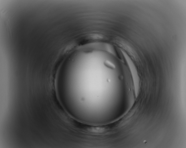 X0000094930361200712061133