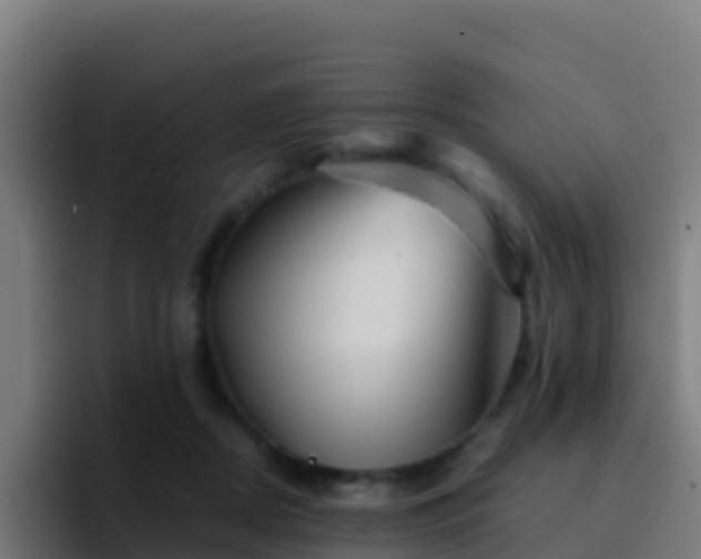 X0000094930362200712061134
