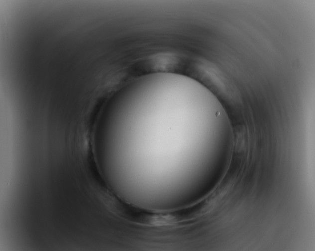 X0000094930363200712061134