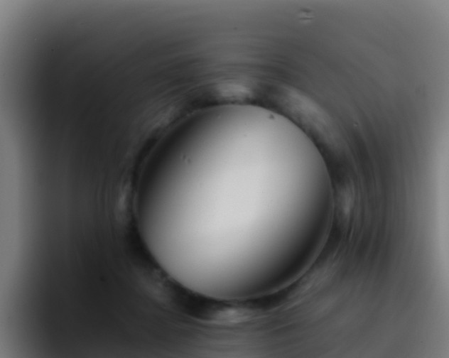 X0000094930364200712061134