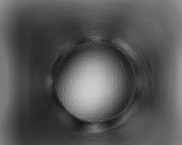 X0000094930365200712061134