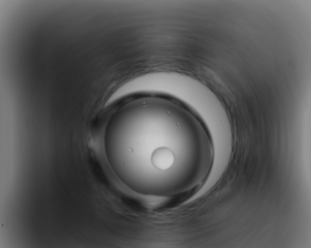 X0000094930368200712061134