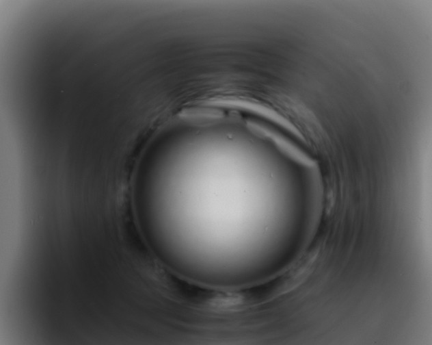 X0000094930369200712061134
