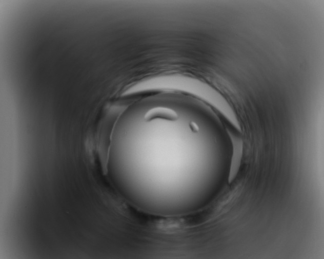 X0000094930373200712061134