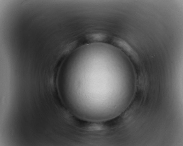 X0000094930377200712061134