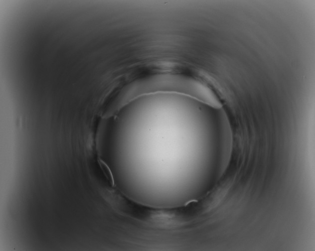 X0000094930380200712061134