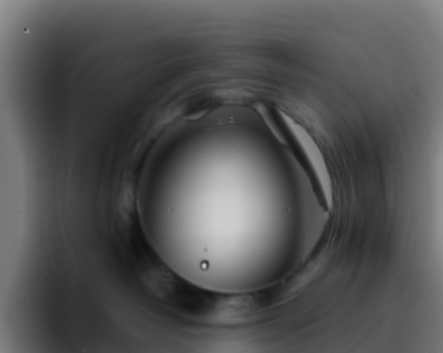 X0000094930382200712061134