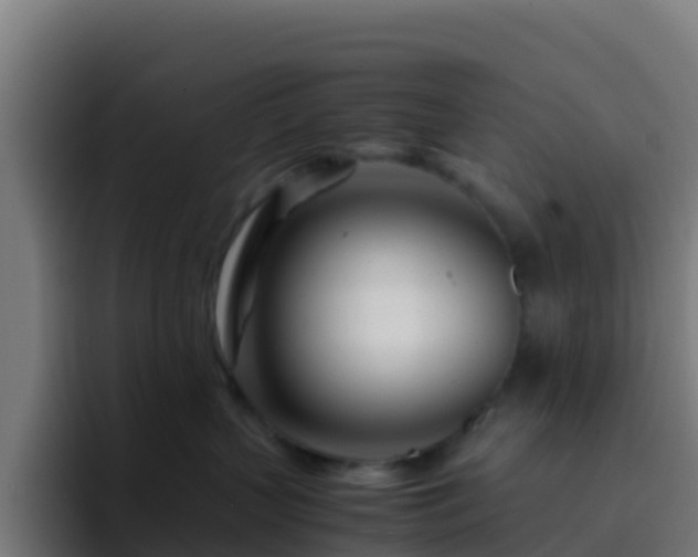 X0000094930383200712061134