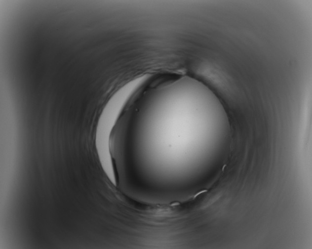 X0000094930384200712061134
