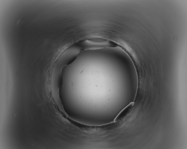 X0000094930385200712061133
