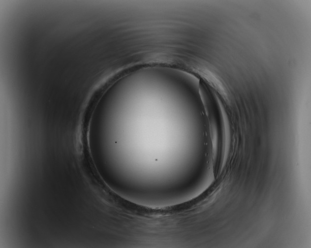 X0000094930388200712061133