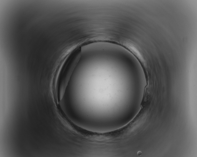 X0000094930389200712061133