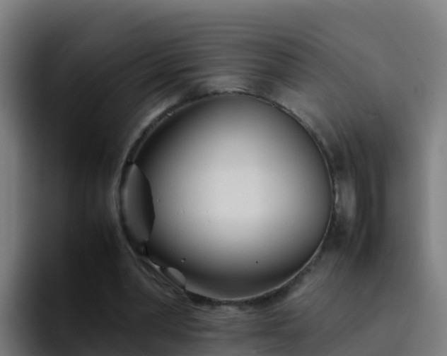 X0000094930390200712061133