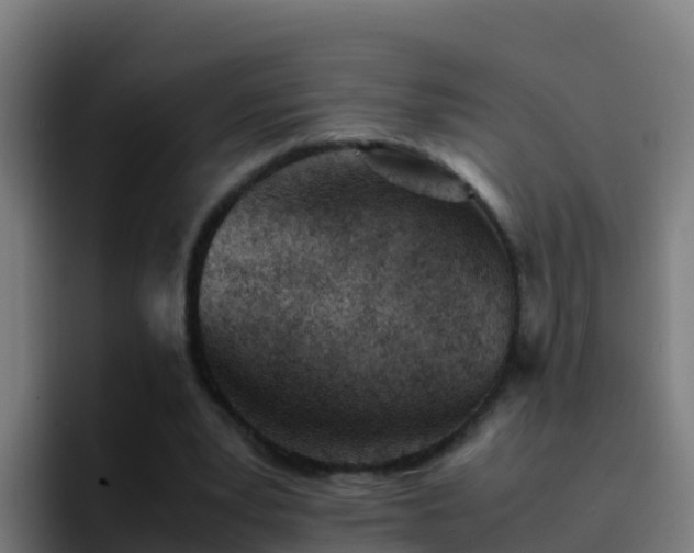 X0000094930391200712061133