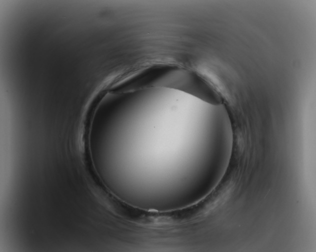 X0000094930395200712061133