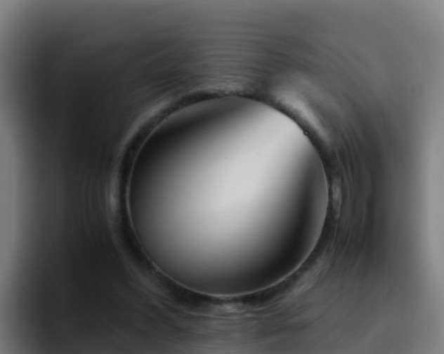 X0000094930396200712061133