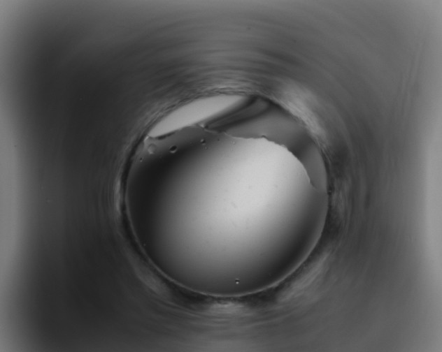 X0000094930397200712061133