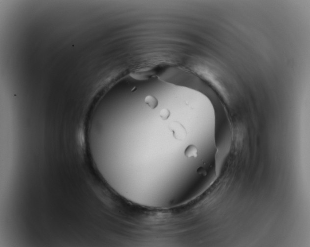 X0000094930398200712061133