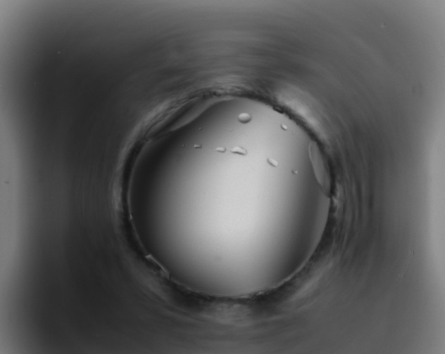 X0000094930399200712061133