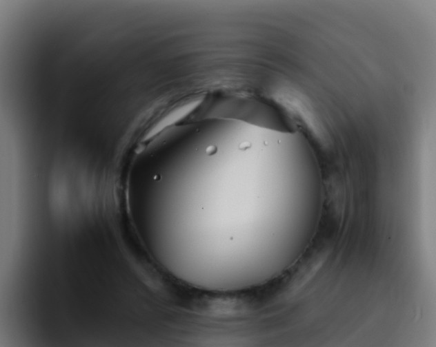 X0000094930400200712061133