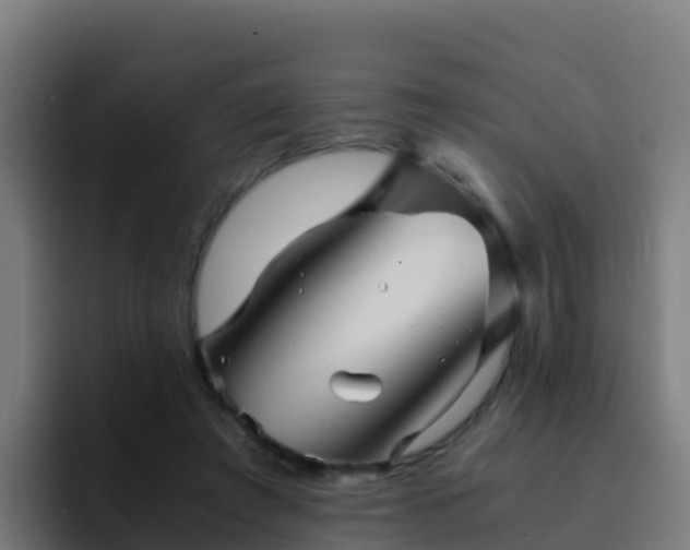 X0000094930401200712061133