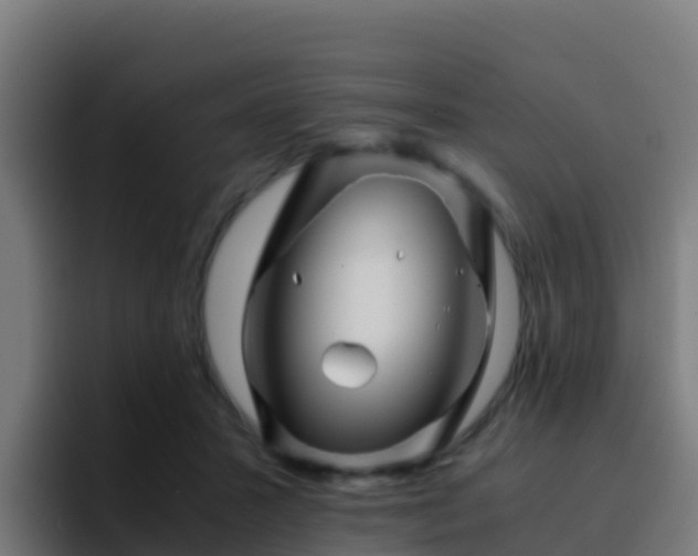 X0000094930407200712061133