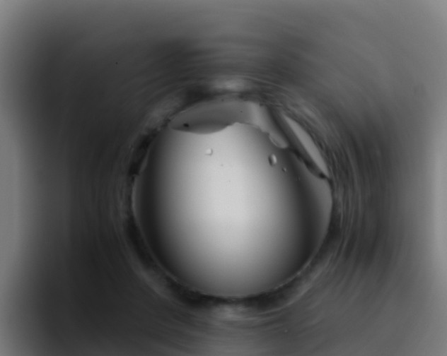 X0000094930408200712061133