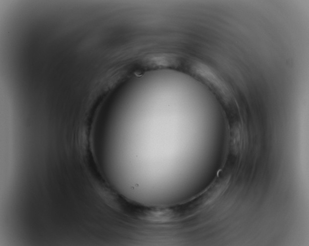 X0000094930410200712061133