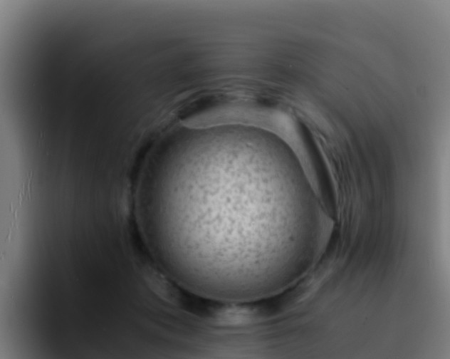 X0000094930413200712061133