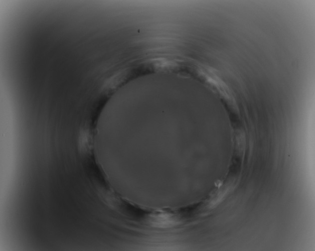 X0000094930419200712061133