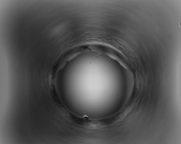 X0000094930420200712061133
