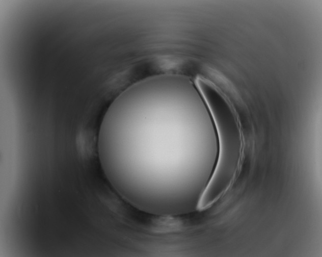 X0000094930421200712061133