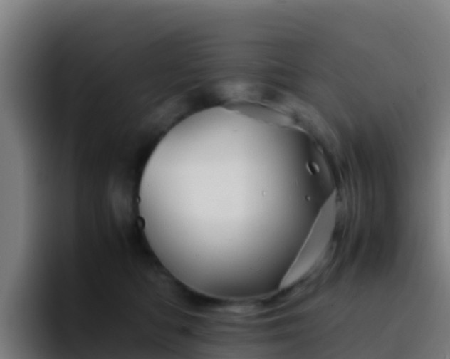 X0000094930422200712061133