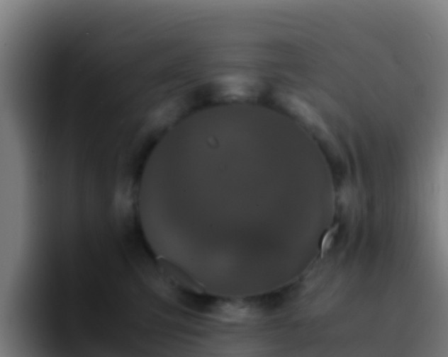 X0000094930423200712061133