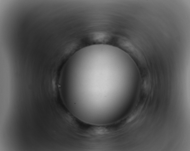 X0000094930424200712061133