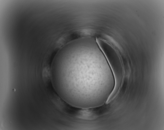 X0000094930425200712061133