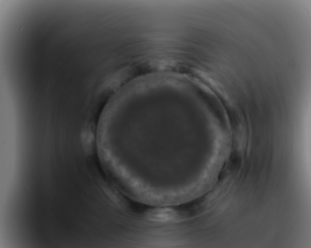 X0000094930427200712061133