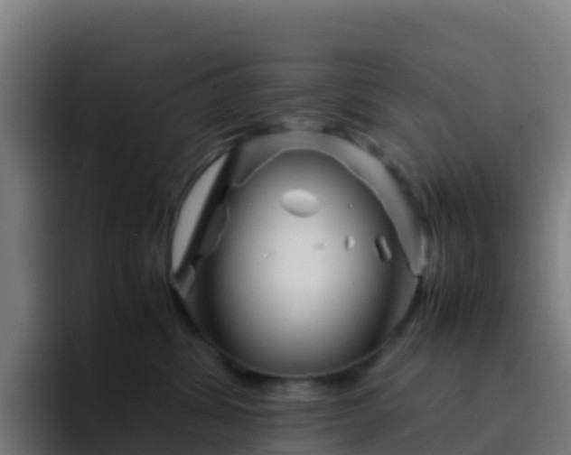 X0000094930428200712061133