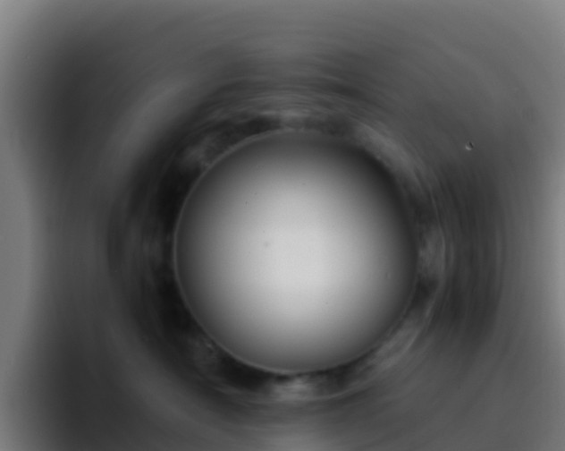 X0000094930430200712061133